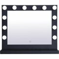 Blueprints Brenda 32 by 26 in. Plug in LED 5000K Mirror Black BL2961488